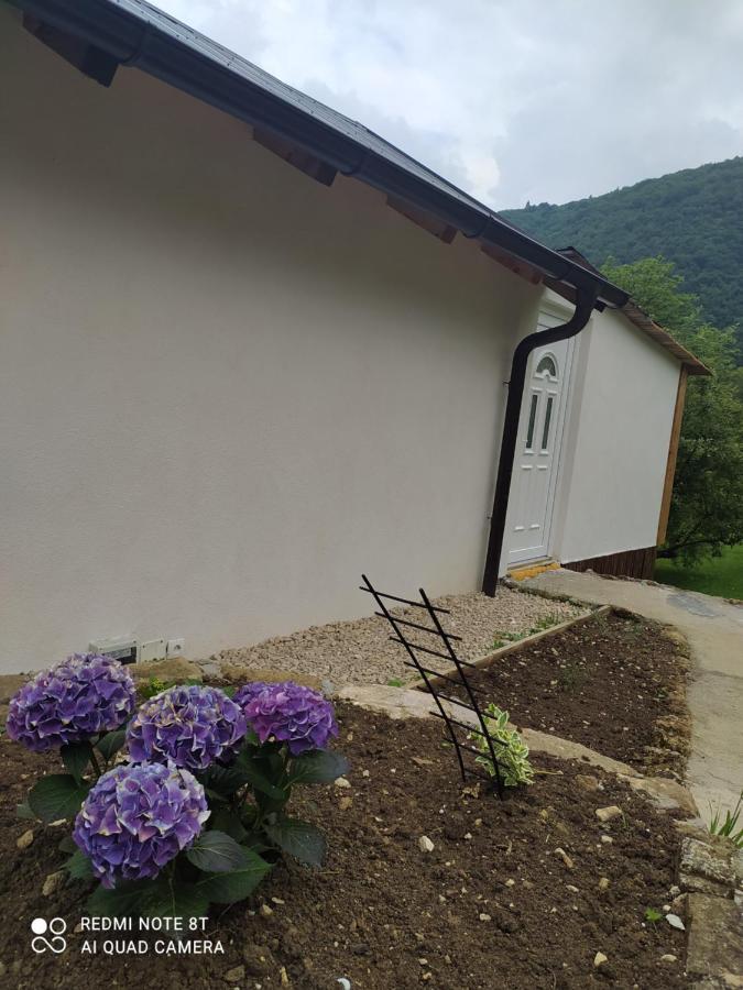 Lenilenii Bungalows Яйце Экстерьер фото
