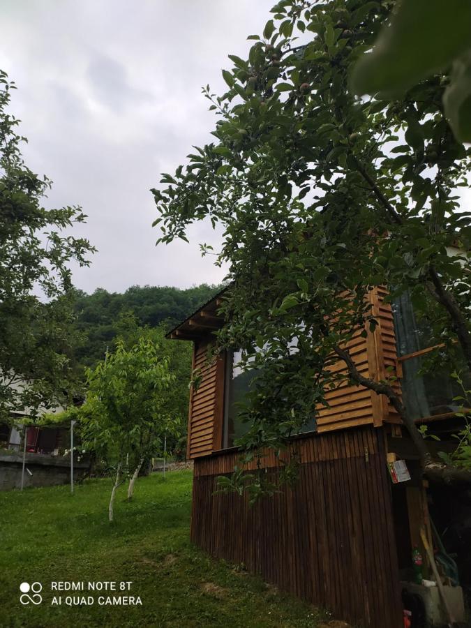 Lenilenii Bungalows Яйце Экстерьер фото
